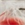 0001_Savage_Gear_3D_Suicide_Duck_15_cm_[Ugly_duckling_].jpg